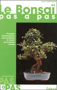 Le Bonsai Pas A Pas