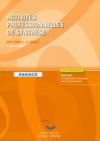 Activités professionnelles de synthèse APS du BTS CGO 2