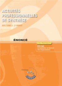 Activités professionnelles de synthèse APS du BTS CGO 2