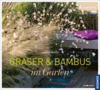 Gräser & Bambus im Garten.