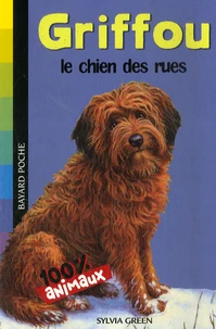 Griffou, le chien des rues