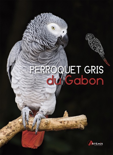 Greg Glendell - Perroquet gris du Gabon.
