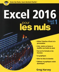 Excel 2016 Tout en 1 pour les nuls