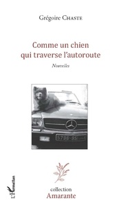 Grégoire Chaste - Comme un chien qui traverse l'autoroute.