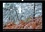 CALVENDO Places  Paysages de Fontainebleau (Calendrier mural 2020 DIN A3 horizontal). Paysages de Fontainebleau, au fil des mois (Calendrier mensuel, 14 Pages )