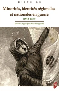 Minorités, identités régionales et nationales en guerre