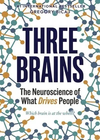 The Three Brains