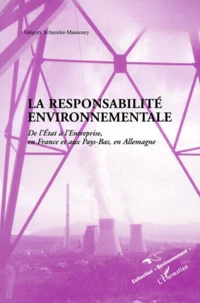 La Responsabilite Environnementale. De L'Etat A L'Entreprise, En France Et Aux Pays-Bas, En Allemagne