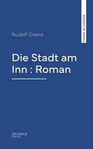 Die Stadt am Inn : Roman