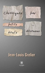 Chroniques par petits bouts... décousus