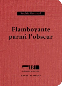 Flamboyante parmi l'obscur