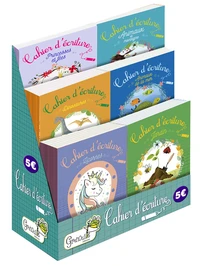 boite de 60 exemplaires de cahiers d'ecriture