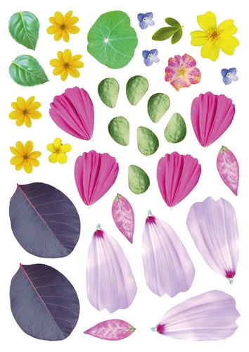 Fées & Licornes. Complète les illustrations avec des feuilles et des fleurs ou avec les autocollants