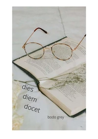 dies diem docet