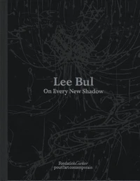 Lee Bul