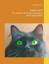 A la recherche du dernier testament de Nostradamus