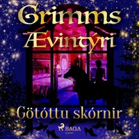Götóttu skórnir