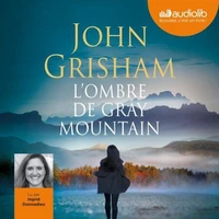 L'ombre de Gray mountain