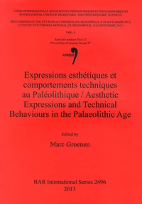 Expressions esthétiques et comportements techniques au Paléolithique