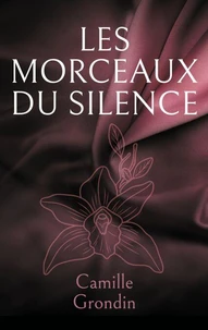 Les morceaux du silence