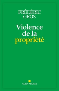 Violence de la propriété