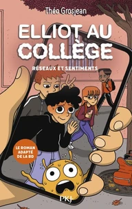 Réseaux et sentiments
