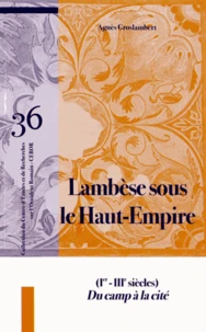 Lambèse sous le Haut-Empire (1er-IIIe siècles)
