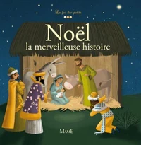 Noël, la merveilleuse histoire