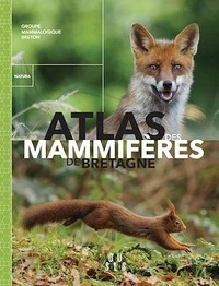 Atlas des mammifères de Bretagne