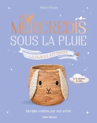 Les mercredis sous la pluie