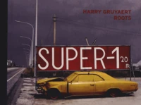 Harry Gruyaert, Roots