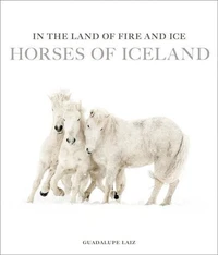 In the land of fire and ice horses of Iceland