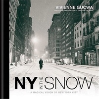  GUCWA VIVIENNE - New York in the snow.
