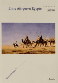 Entre Afrique et Egypte : relations et échanges entre les espaces du sud de la Méditerranée à l'époque romaine
