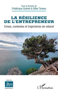 La résilience de l’entrepreneur