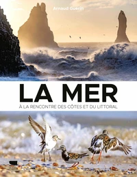 La mer