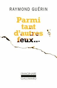 Parmi tant d'autres feux