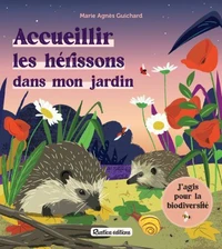 Accueillir les hérissons dans mon jardin