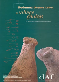 Rodumna (Roanne, Loire), le village gaulois
