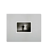 Di Sguincio (1969-81)