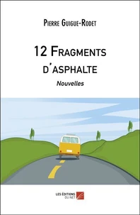 12 Fragments d'asphalte