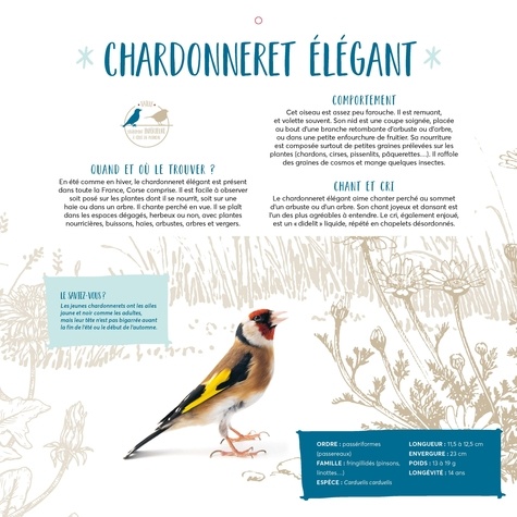 Calendrier Oiseaux grandeur nature  Edition 2024