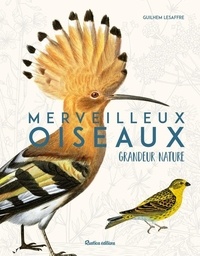 Guilhem Lesaffre - Merveilleux oiseaux - Grandeur nature.