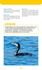 Oiseaux de mer. Observer et reconnaître 50 espèces de notre littoral