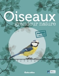 Guilhem Lesaffre - Oiseaux grandeur nature.