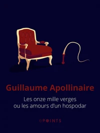 Les onze mille verges ou les amours d'un hospodar