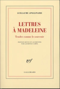 Lettres à Madeleine
