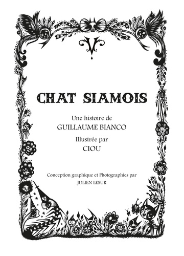 Chat Siamois
