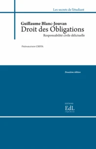 Droit des obligations : responsabilité civile délictuelle