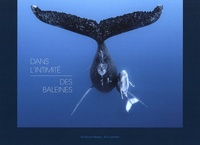 Guillaume Boeye et Eric Lamblin - Dans l'intimité des baleines.